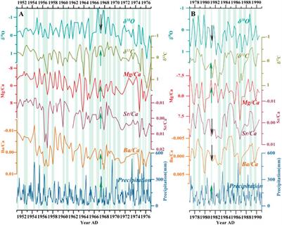 Seasonal variations and controlling factors of speleothem multi-proxy in southeastern China: Implications for the reconstruction of precipitation seasonality